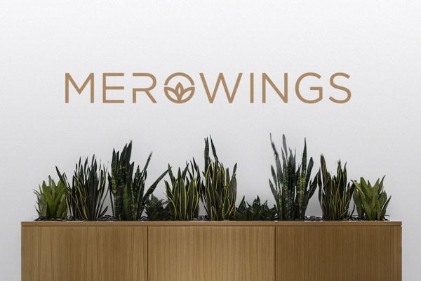 MeroWings under a new guise: Learn more about the rebranding of MeroWings