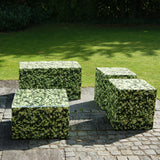 Outdoor Sitzbank Hainbuche mit Tablett