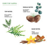 Duftkerze Forêts des Sapins