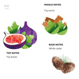 Scented Candle Fig