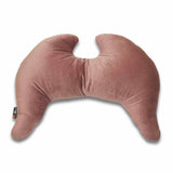 Joy Wings Pillow Dusty Rose