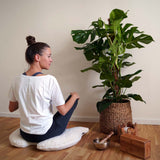 Flügelkissen Joy Bio Baumwoll Plüsch - mit Schafschurwolle Innenkissen