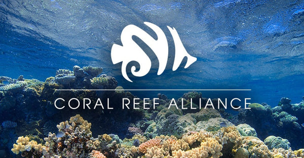 8 tips on how you can help protect coral reefs in everyday life – MeroWings  Int. GmbH & Co. KG