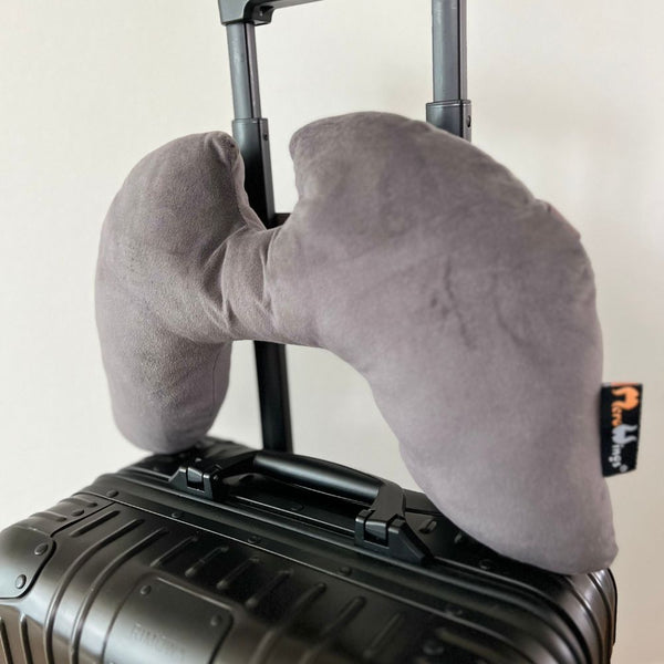 Smart Travel Wings Pillow Grey| | UNIQUE SAMPLE PIECE
