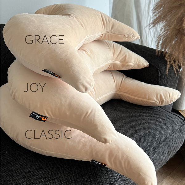 Classic Wings Pillow Sand